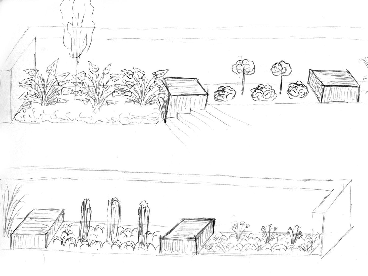 projektowanie ogrodów